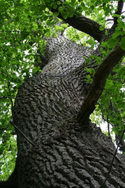 3044